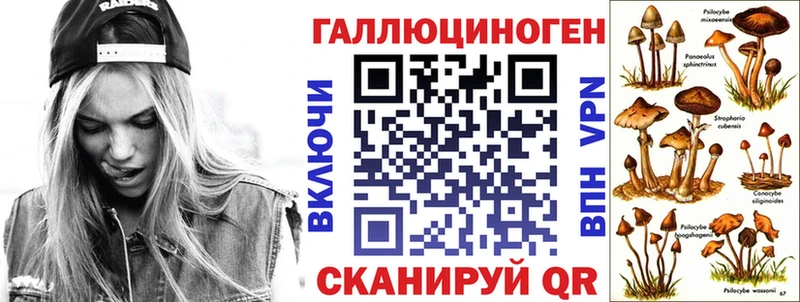 Галлюциногенные грибы Psilocybe  Новочеркасск 