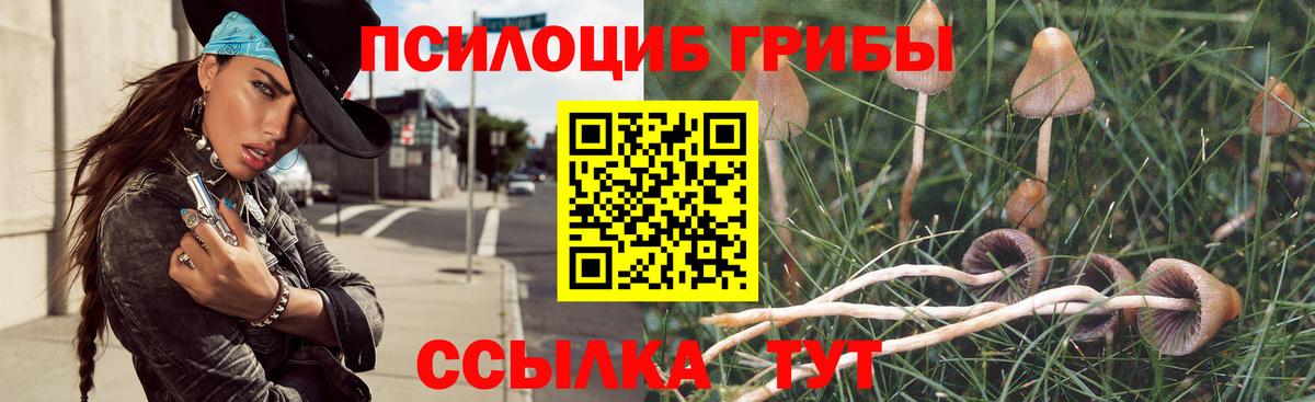 Галлюциногенные грибы ЛСД  Вход с VPN  Новочеркасск  Галлюциногенные грибы мухоморы 